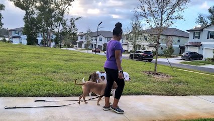 AlphA and Omega Dog Training, Wesley Chapel, Fl.