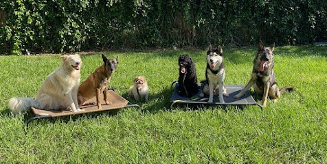K9-Training Center