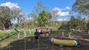 Pals And Paws Agility Club