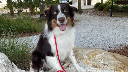 Kyser K9 Dog Training