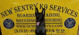 New Sentry K9 Services