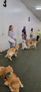 Obedience Club of Daytona