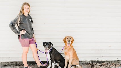 Happy Hound Dog Obedience