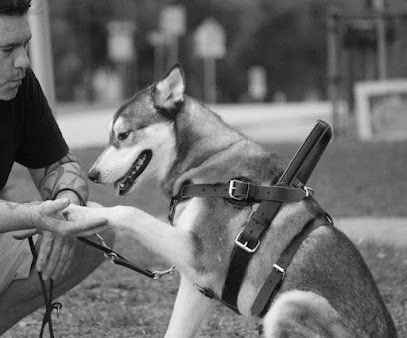 Mind Your Manners Canine Training- Dog Training and Boarding-Family Owned