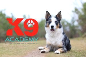 K9 Academy