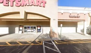 PetSmart Dog Training