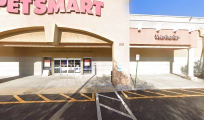 PetSmart Dog Training