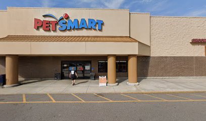 PetSmart Dog Training