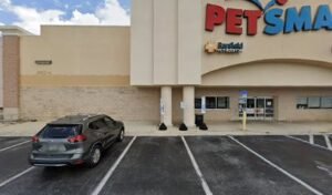 PetSmart Dog Training