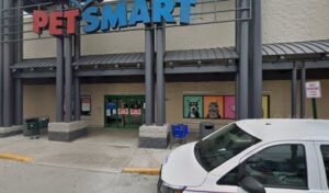 PetSmart Dog Training