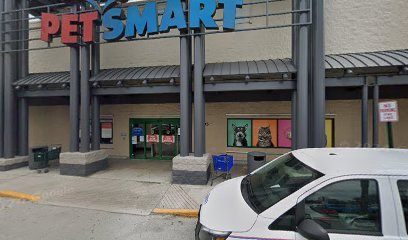PetSmart Dog Training