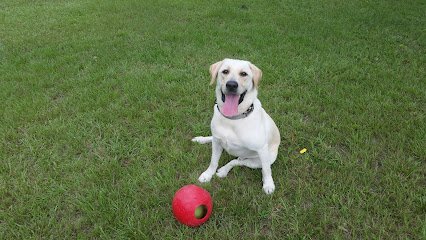 Milton K9 Academy