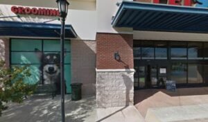 PetSmart Dog Training