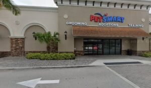 PetSmart Dog Training