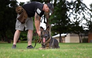 Blackheart K9 Services