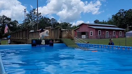 24k Retrievers