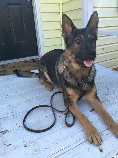 Blue Ridge Working K9