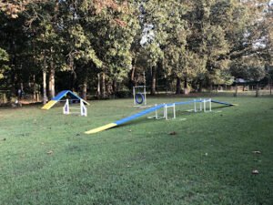 Stonebriar Animal Behavior & Training LLC