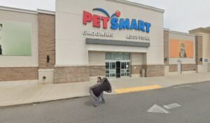 PetSmart Dog Training