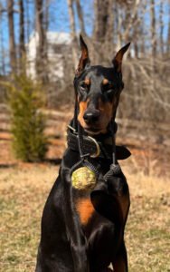 True Guard K9 LLC