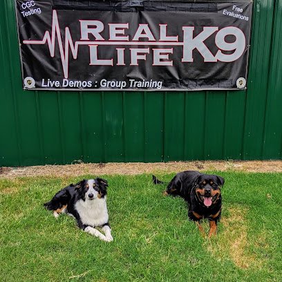 Real Life K9