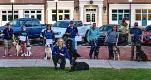Willow Creek Dog Training LLC