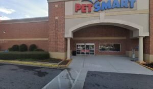 PetSmart Dog Training