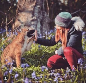 Canine Counseling