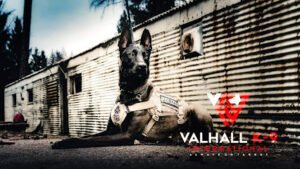Valhall K9 International