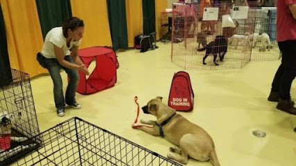 Rocket Science Training and Behavior Solutions