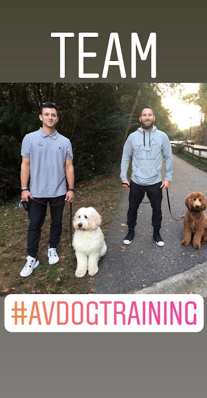 AV Dog Training
