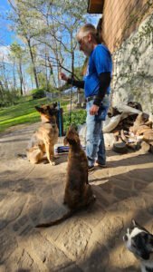 Dare2Bond Dog Training Llc