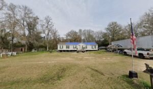 training & boarding plus puppy sales