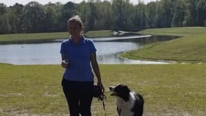 Happy Hounds Dog Training