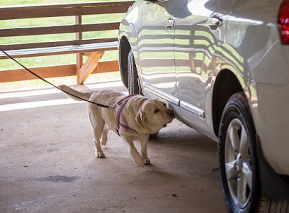 Radda’s K9 Campus