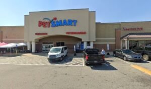 PetSmart Dog Training