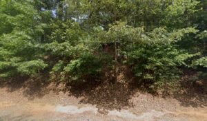 PEACH STATE K9 KENNELS