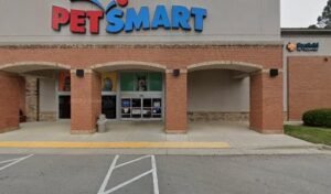 PetSmart Dog Training
