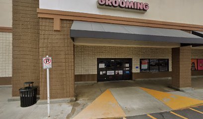 PetSmart Dog Training