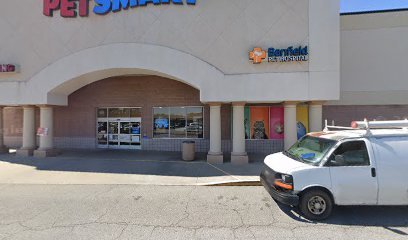 PetSmart Dog Training
