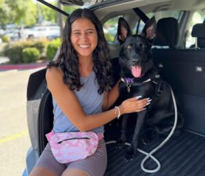Loving Dog Training