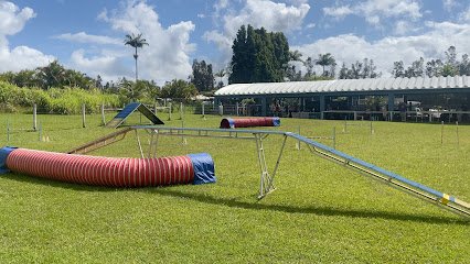 Kukini Dog Agility