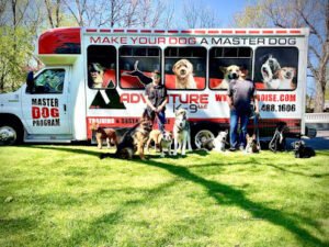 Adventure K-9 LLC
