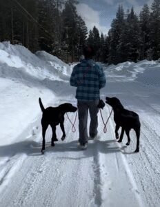 McCall Tails on Trails