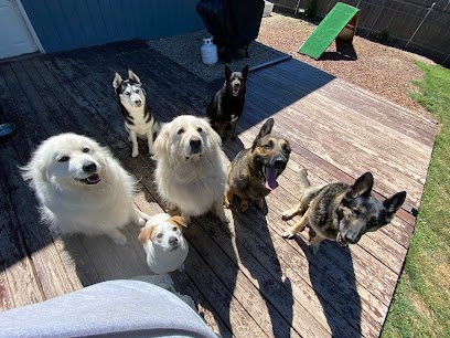 The K9 Professionals