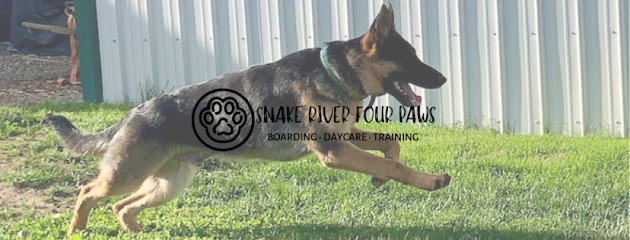 Snake River Four Paws