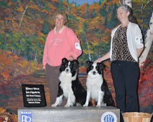 North Idaho School of Dog obedience