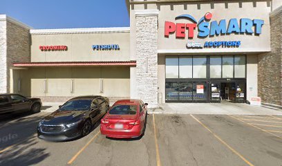 PetSmart Dog Training