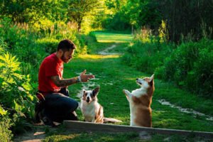 Animal Consulting & Empowerment By Marius. Dog Training.