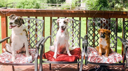 The Fine Canine Dog Training & Boarding